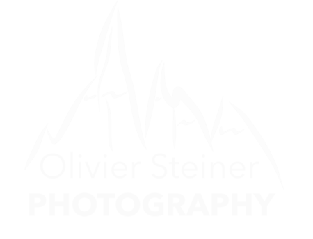 Logo Olivier