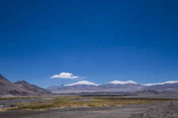 Between - entre - Antofagasta de la Sierra and El Piñon Landscape of San Pedro de Atacama with distant mountains and clear blue sky.