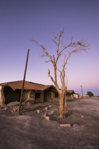 Oficina Chacabuco Abandoned village scene with a leafless tree in Fiambala, Argentina, during sunset, showcasing arid.