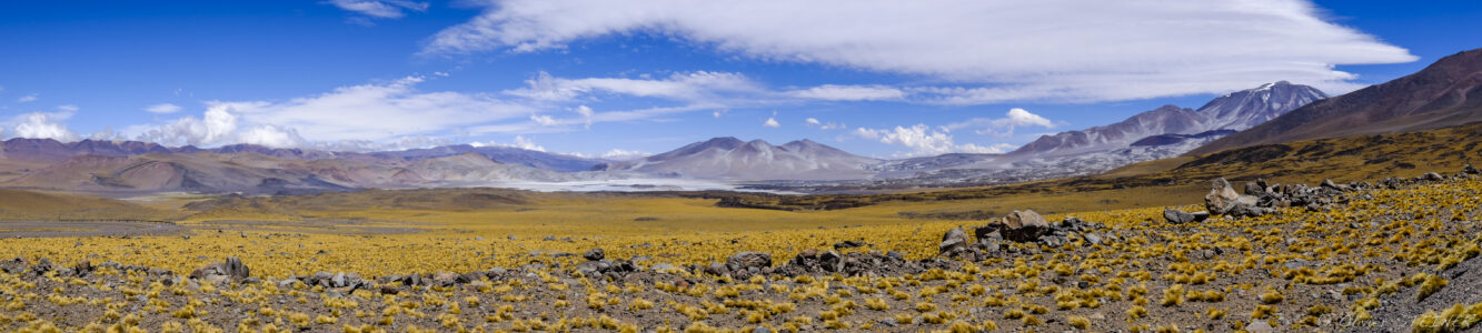 Stunning desert scene in Fiambala, Argentina, showcasing mountains and open skies, perfect for travel and landscape photography. Desert landscape in Fiambala, Argentina, with mountains and clear blue sky, captured by Olivier Stei.