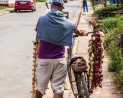 A regular day in Viñales