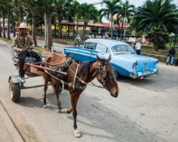 In the street of Viñales