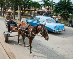 In the street of Viñales
