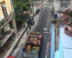 First activity in the streets - Première activité dans les rues