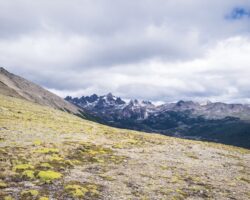 First glimpse at the Dientes