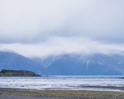 Low tide in the bay - marée basse