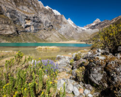 Leaving the higher ground