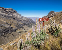 On the way to Nevado Yerupaja