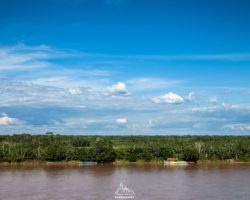 The Amazon rainforest, on the other side of the very large rio Huallaga