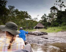 One of the shelter, in the jungle