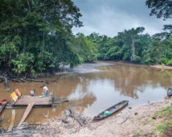 First main shelter in the reserve. This is where most tourists are turning back.