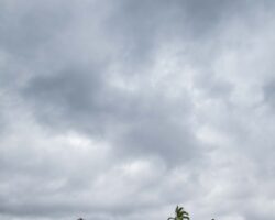 Entrance of the Pacaya Samiria Reserve