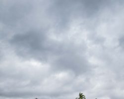 Entrance of the Pacaya Samiria Reserve