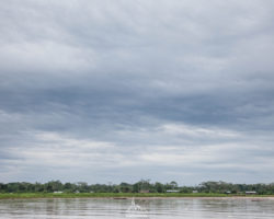 Little villages on the side of the rio Huallaga