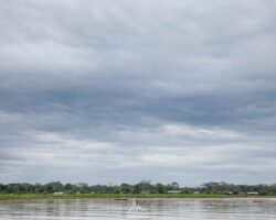 Little villages on the side of the rio Huallaga