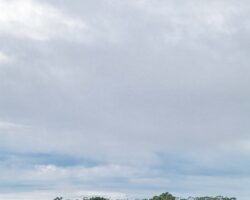 On the large rio Huallaga