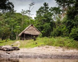Remote shelter in the forest