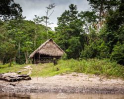 Remote shelter in the forest