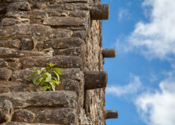 Detail of the Machu Picchu ruins