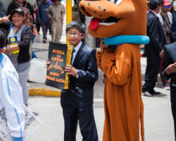 The city and the dogs - La ville et les chiens - Vargas Llosa