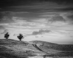 Near the summit of Terevaka