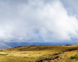 Near the south east side of Rano Kau