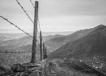 Wall of shame : 16 km of barb wire and concrete walls.