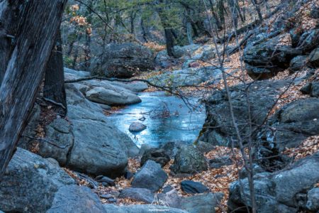 First water point : just a hole full of water...