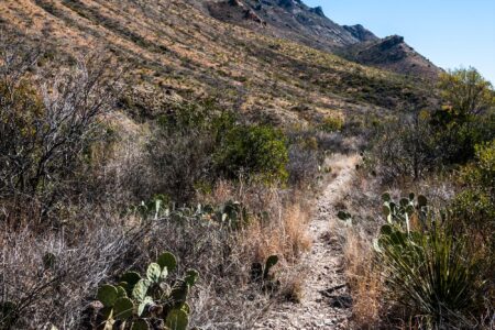 The dry desert