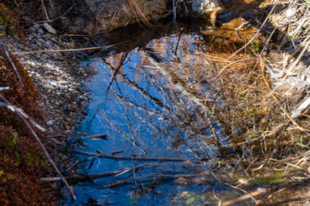 Second water point, a clear spring