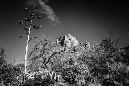 Entering the Chisos Mountains, a bit after leaving the parking lot.