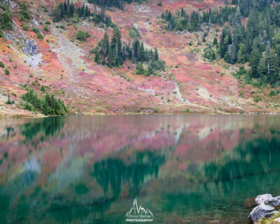 Hoh Lake decorated by blueberries