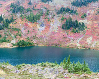 Overlooking Hoh Lake