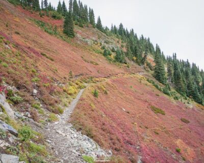 Autumn in the alpine meadow.