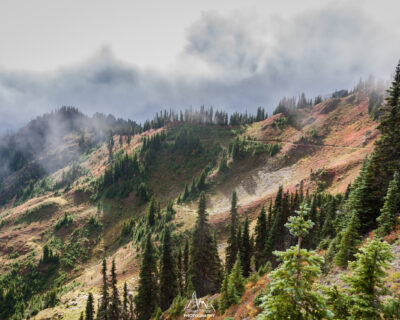 Alone to enjoy this scenery.