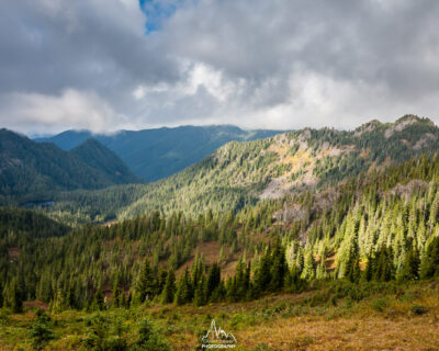 Above the Olympic woods.