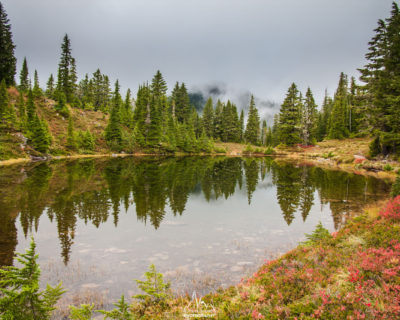 Reflection on a small pond, entering the woods again.