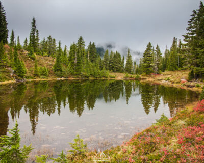 Reflection on a small pond, entering the woods again.