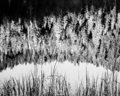 Cold morning reflection on deer lake.