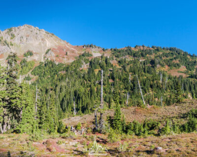 Approaching the ridge