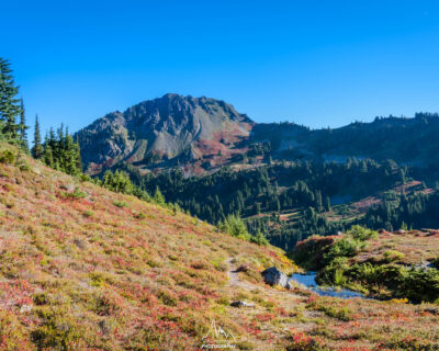 In the meadow above Heart Lake