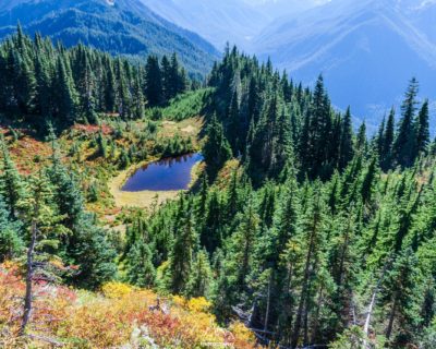 Overlooking Hoh River Valley
