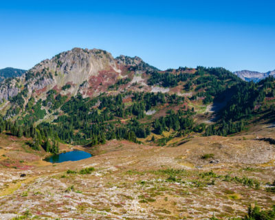 Meadow above Heart Lake