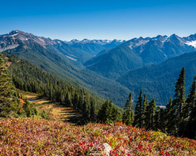 Olympic National Park