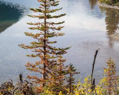Cosley Lake