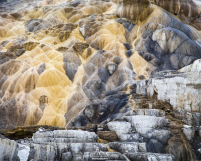Mammoth Hot Springs - Autumn