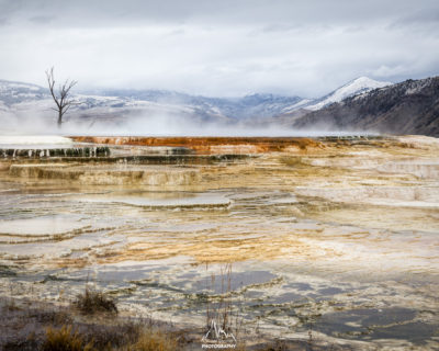 Mammoth Hot Springs