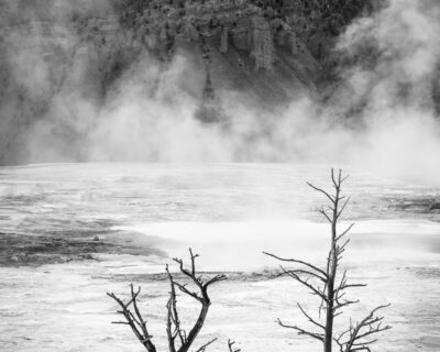 Mammoth Hot Springs
