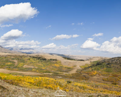 On the road side, driving toward Many Glaciers