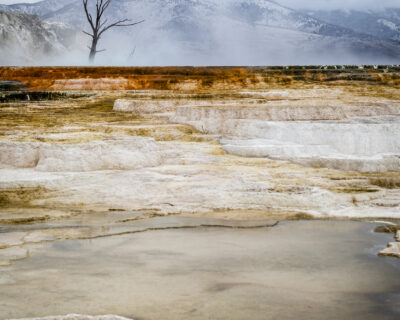 Mammoth Hot Springs